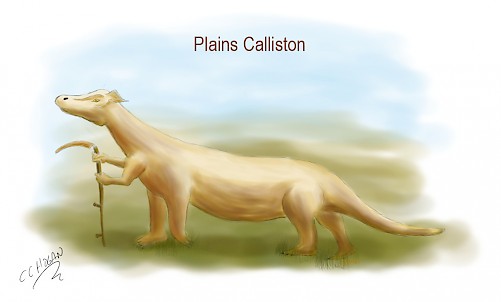 Plains Calliston